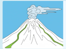 Havi AI